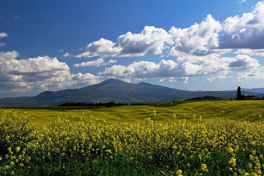 Casetta Del Pozzo Seggiano Pokoj fotografie